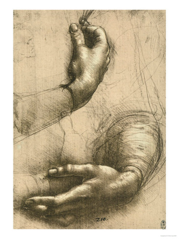 Study Of Female Hands, Drawing, Royal Library, Windsor - Leonardo Da Vinci Painting - Click Image to Close
